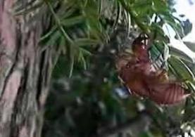 �}���V�����Y���9