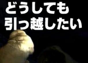 �}���V�����Y���18